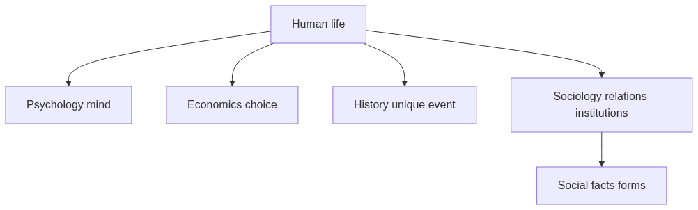 Flow diagram