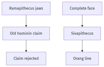 Flow diagram