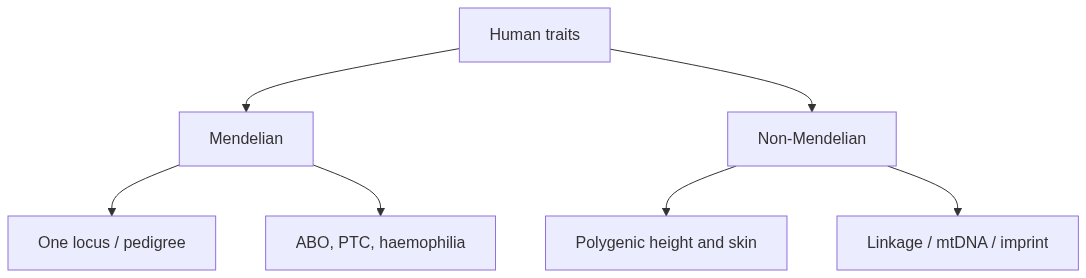 Flow diagram