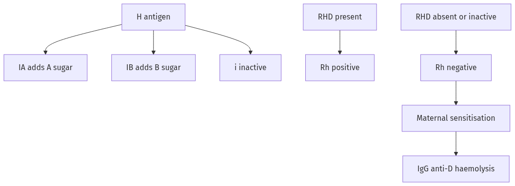 Flow diagram
