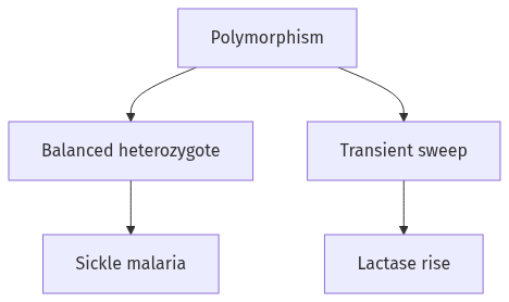 Flow diagram