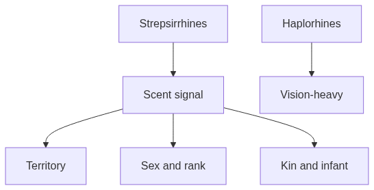 Flow diagram