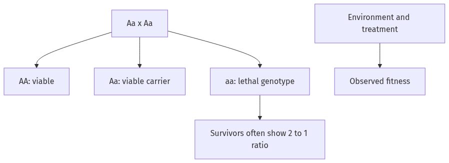 Flow diagram