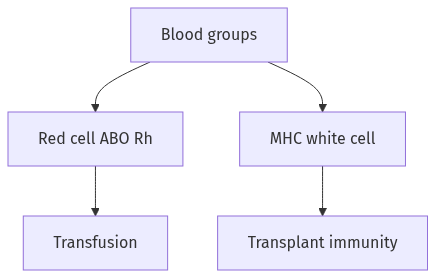 Flow diagram