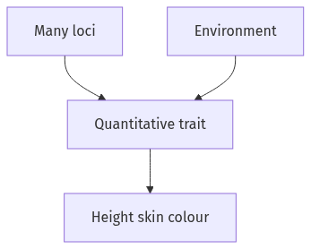 Flow diagram