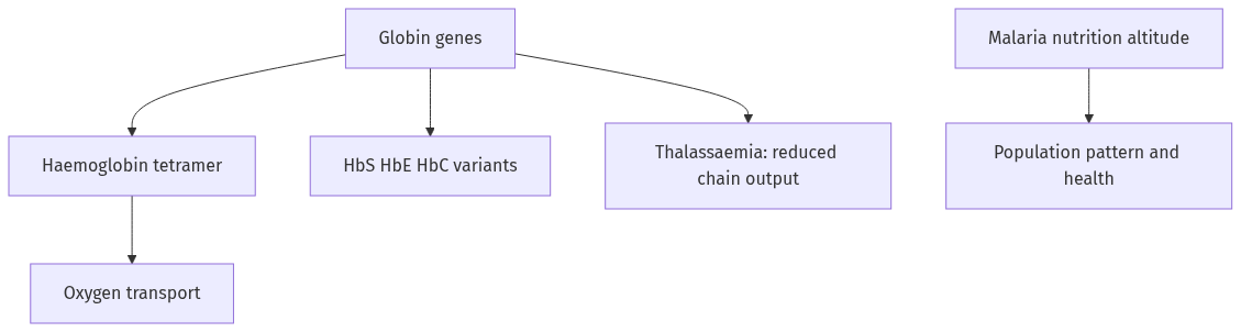 Flow diagram