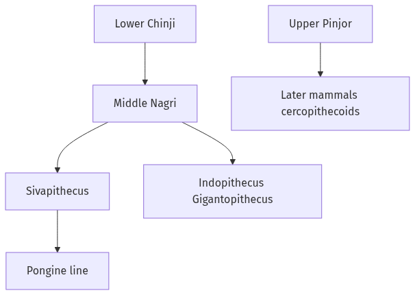 Flow diagram