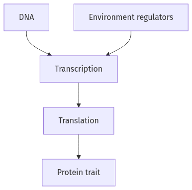 Flow diagram